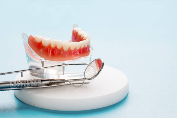 Best Dental Exams and Cleanings  in West Lealman, FL