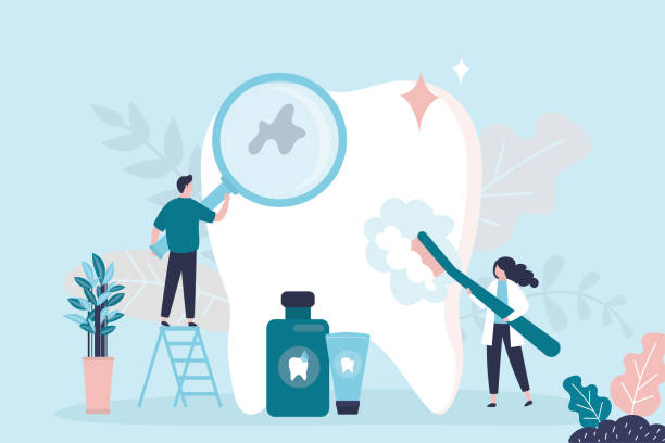 Best Pediatric Dentistry  in West Lealman, FL